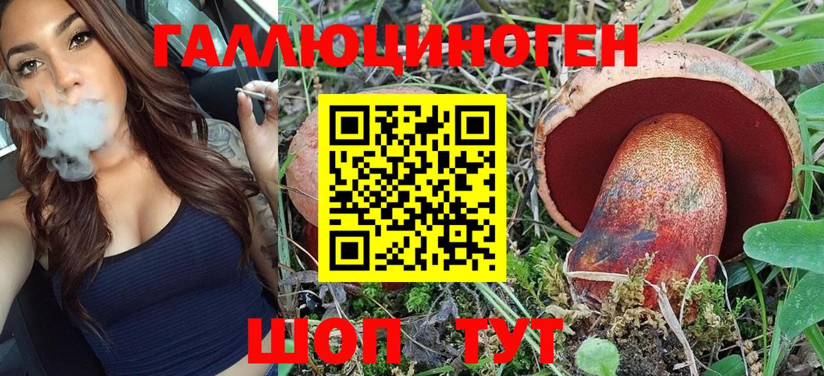 Таганрог  Псилоцибиновые грибы мухоморы  Псилоцибиновые грибы MAGIC MUSHROOMS  Вход с VPN 